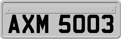 AXM5003