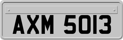 AXM5013
