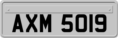 AXM5019