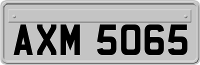 AXM5065