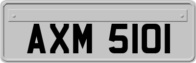 AXM5101
