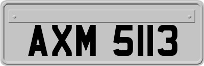 AXM5113