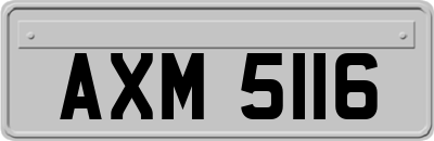 AXM5116
