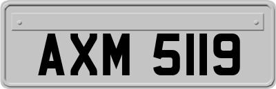 AXM5119