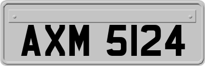 AXM5124