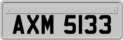 AXM5133