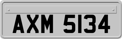 AXM5134