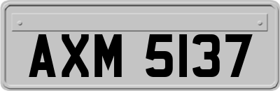 AXM5137