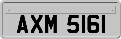 AXM5161