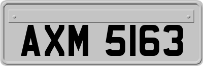 AXM5163