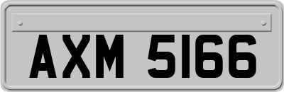 AXM5166