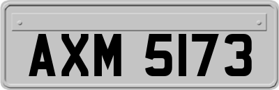 AXM5173