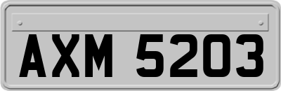 AXM5203