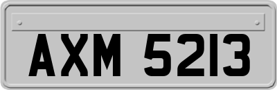 AXM5213