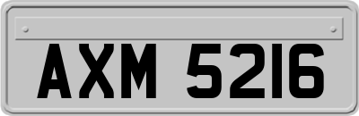 AXM5216
