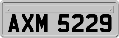 AXM5229