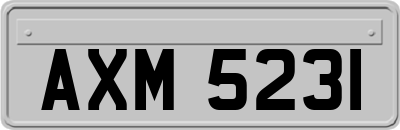 AXM5231