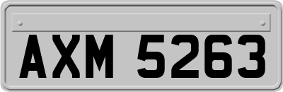 AXM5263