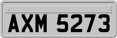 AXM5273