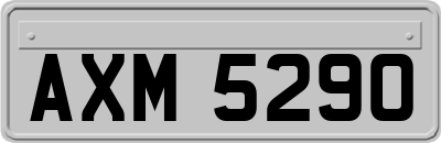 AXM5290