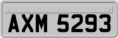 AXM5293