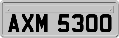 AXM5300