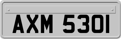 AXM5301