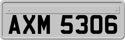 AXM5306