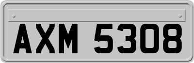 AXM5308