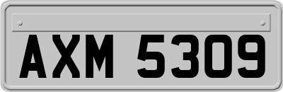 AXM5309