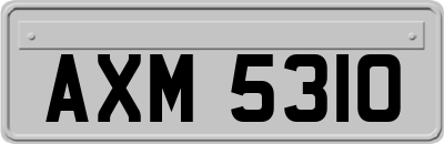 AXM5310