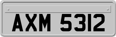 AXM5312