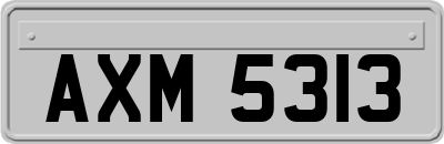 AXM5313