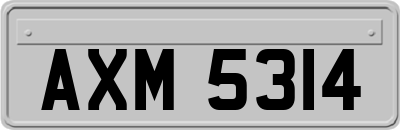 AXM5314