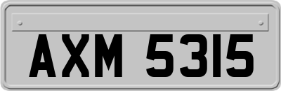 AXM5315