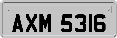 AXM5316