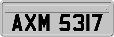 AXM5317