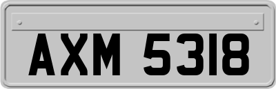 AXM5318
