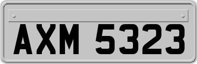 AXM5323