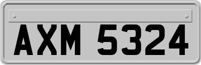 AXM5324
