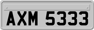 AXM5333