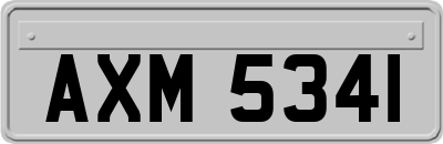 AXM5341