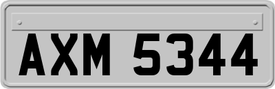 AXM5344