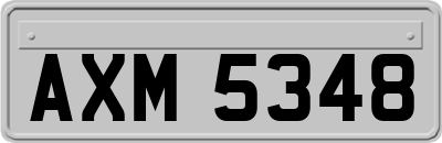 AXM5348