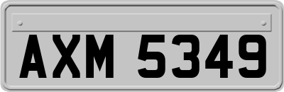 AXM5349
