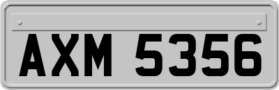 AXM5356