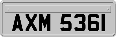 AXM5361