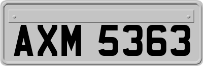 AXM5363