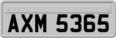 AXM5365
