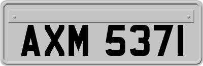 AXM5371